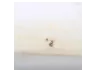 Шарик 1.588 фото навигации 1